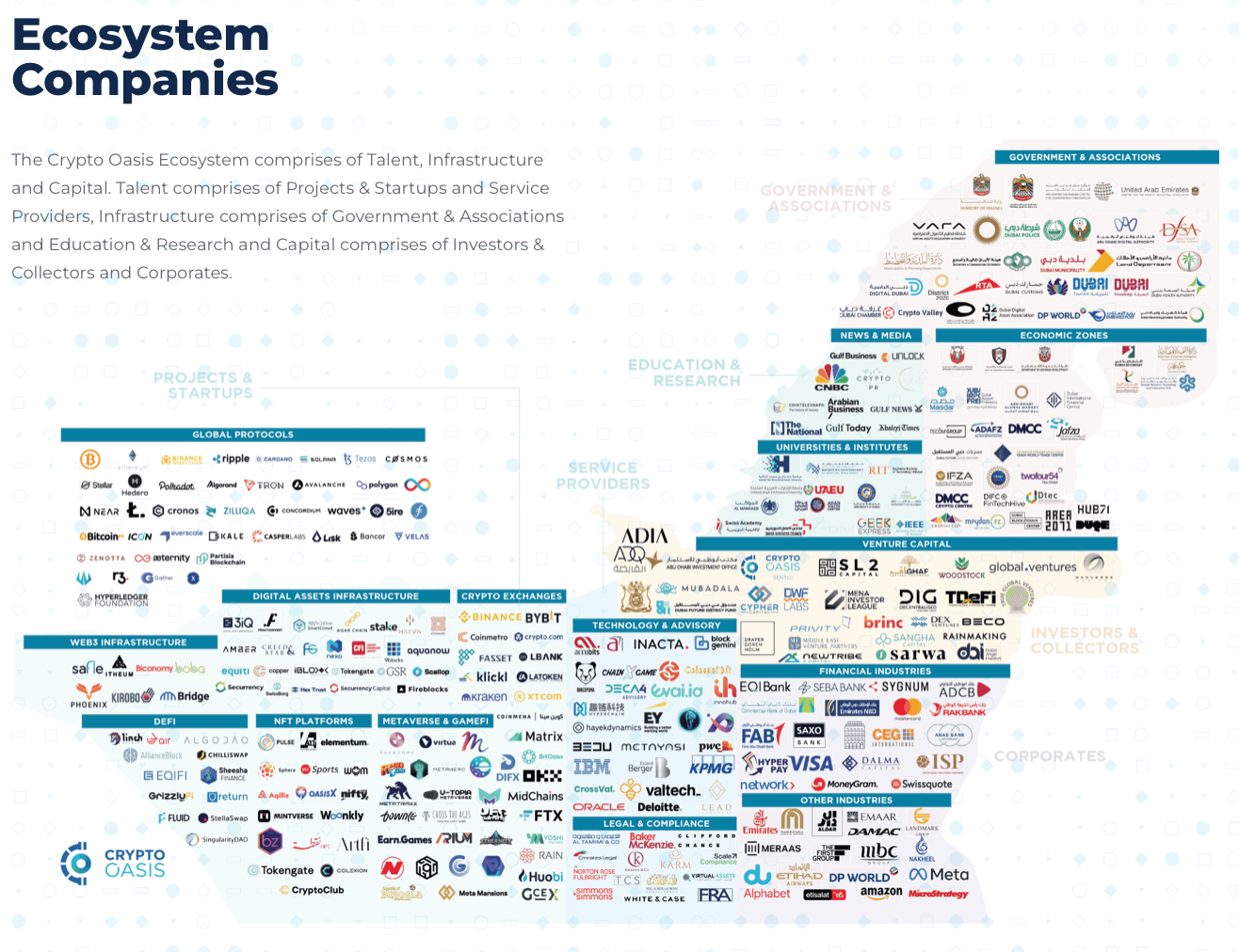 Ecosystem companies. Source: Crypto Oasis Ecosystem Report