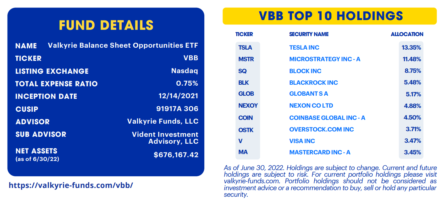 Top holdings of the "Balance Sheet Opportunities" Fund
