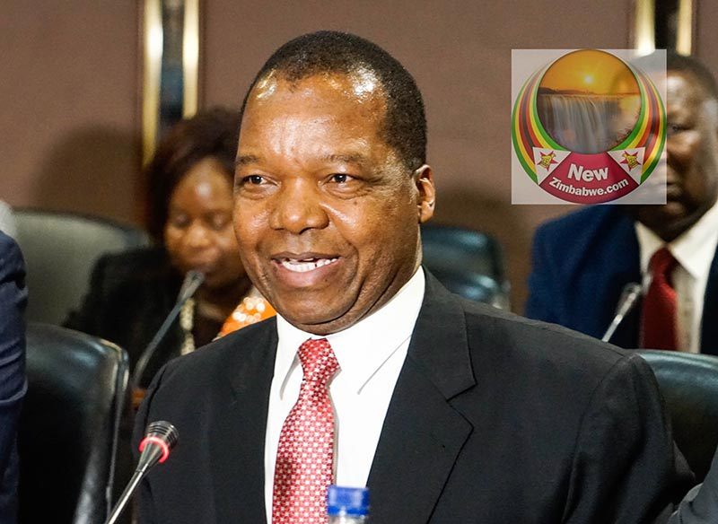 NBZ Governor, Dr John Mangudya