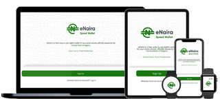 eNaira application screenshots. Source: enaira.gov.ng