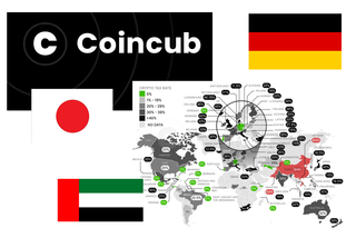 Coincub tax survey