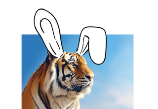 Friend.tech tiger