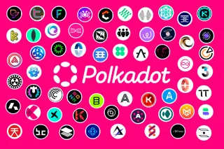 Polkadot ecosystem