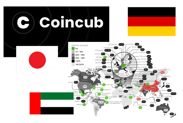 Coincub tax survey