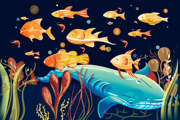 bitcoin whale