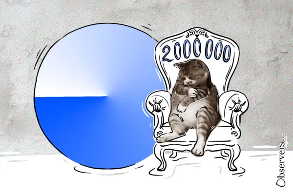 Base Gains Momentum As Memecoin 
